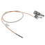 Pilot Assembly, L.P. Gas (HSI Control Valves), 100111381