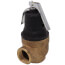 Commercial Orientation Pressure Only Relief Valve, 1", 150#, 100111723