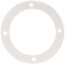 Burner Flange Gasket, 100111744