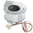 Blower Motor Assembly, 100112004