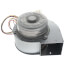 Blower Motor Assembly, 100112004