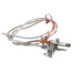 Pilot Assembly Kit (Natural Gas), 100112330