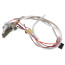 Pilot Assembly Kit (Natural Gas), 100112330
