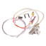 Pilot Kit w/ Tubing (LP), 100112360