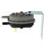 Pressure Switch with Tubing, 100166235