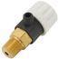 Air Vent Valve, 100167445