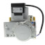 Natural Gas Valve Assembly, 100172009