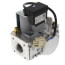 Natural Gas Valve Assembly, 100172009