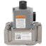 Gas Valve Assembly (Natural Gas), 100172016