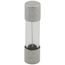 Fuse, 5 Amp, 100208232