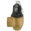 1" Relief Valve 50 PSI, 100208448