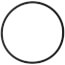 Gasket, Venturi O-ring, 100208761