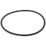 Gasket, Venturi O-ring, 100208761