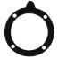 Blower Gasket, 100208764