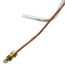 LP Pilot Ignitor Assembly, BT80-100, 100210056