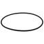 Gasket Venturi, 100233705