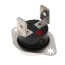 Limit Switch, 100°F to 120°F, 1003176