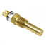 High Temperature Limit Switch for CHG, Freedom Boilers, 100517-01