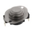 Limit Switch, 250-20 SB, 1009169