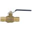 1" Expansion PEX Ball Valve, T-Handle, T-1960NL (Lead Free)