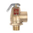 3/4" FNPT x 1" FNPT RVW10 1,035,000 BTU Hot Water Relief Valve, 50 PSIG (Brass Finish)