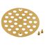 Brushed Gold 4" Screw On Shower Strainer, 102763BG