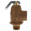 3/4" MNPT x 3/4" FNPT RVW30 550,000 BTU Hot Water Relief Valve, 30 PSIG (Brass Finish)