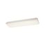 50" 2 Light LED Linear Ceiling Light (White)