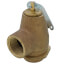 3/4" MNPT x 3/4" FNPT RVW30 550,000 BTU Hot Water Relief Valve, 30 PSIG (Brass Finish)