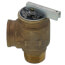 3/4" MNPT x 3/4" FNPT RVW40 477,000 BTU Hot Water Relief Valve, 30 PSIG (Brass Finish)