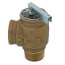 3/4" MNPT x 3/4" FNPT RVW40 587,000 BTU Bronze Relief Valve (40 psi)