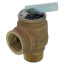 3/4" MNPT x 3/4" FNPT RVW40 587,000 BTU Bronze Relief Valve (40 psi)