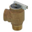 3/4" MNPT x 3/4" FNPT RVW40 697,000 BTU Bronze Relief Valve (50 psi)