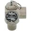 1/2" MNPT x 1/2" FNPT RVS52 151 LBS/HR Steam Safety Relief Valve, Polished Chrome (15 psi)