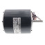 Fan Motor