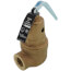 3/4" RVW60 827,000 BTU Capacity, Bronze Relief Valve, 30 psi