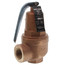 3/4" RVW60 1,209,000 BTU Capacity, Bronze Relief Valve, 50 psi