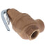 3/4" FNPT RVW60 1,399,000 BTU Bronze Hot Water Relief Valve, 60 PSIG