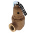 3/4" RVW60 2,162,000 BTU Capacity, Bronze Relief Valve, 100 psi