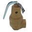 3/4" FNPT RVW60 2,639,000 BTU Capacity, Bronze Relief Valve, 125 psi