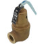 3/4" RVW60 3,116,000 BTU Capacity, Bronze Relief Valve, 150 psi