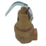 1" FNPT RVW60 1,339,000 BTU Bronze Hot Water Relief Valve, 30 PSIG