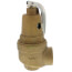 1" FNPT RVW60 4,272,000 BTU Bronze Hot Water Relief Valve (125 psi)