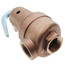 1-1/4" RVW60 7,390,000 BTU Capacity, Bronze Relief Valve, 125 psi