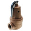 1-1/4" RVW60 7,390,000 BTU Capacity, Bronze Relief Valve, 125 psi