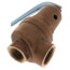 3/4" FNPT x 1" FNPT RVW61 635,000 BTU Bronze Hot Water Relief Valve (15 psi)