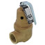 3/4" FNPT x 1" FNPT RVW61 970,000 BTU Hot Water Pressure Relief Valve, 30 psi