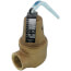 3/4" FNPT x 1" FNPT RVW61 1,418,000 BTU Bronze Hot Water Relief Valve (50 psi)
