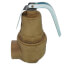 3/4" FNPT x 1" FNPT RVW61 1,977,000 BTU Bronze Hot Water Relief Valve (75 psi)