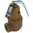 3/4" FNPT x 1" FNPT RVW61 2,089,000 BTU Hot Water Pressure Relief Valve, 80 psi